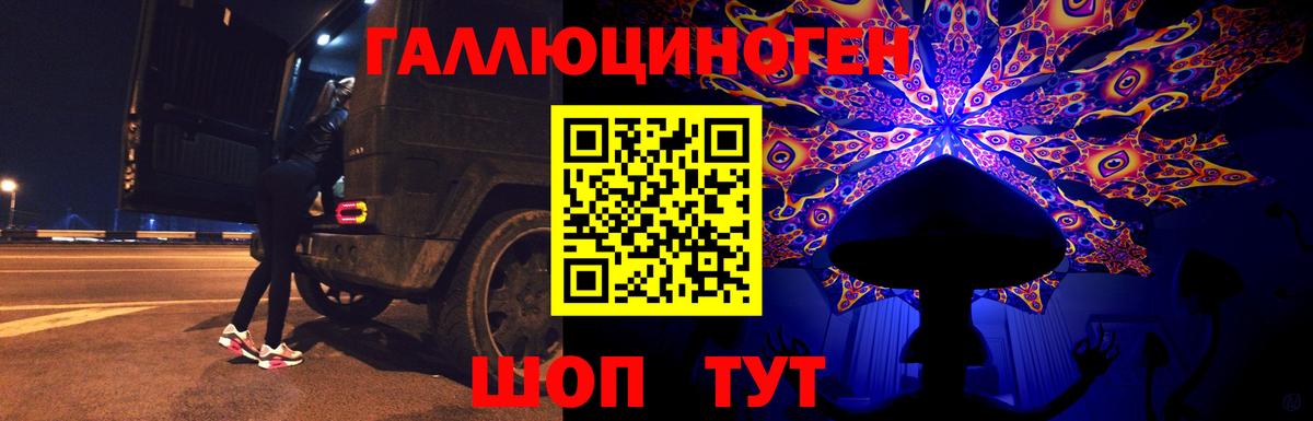 Каменка  Псилоцибиновые грибы ЛСД  Галлюциногенные грибы GOLDEN TEACHER  Вход с VPN 